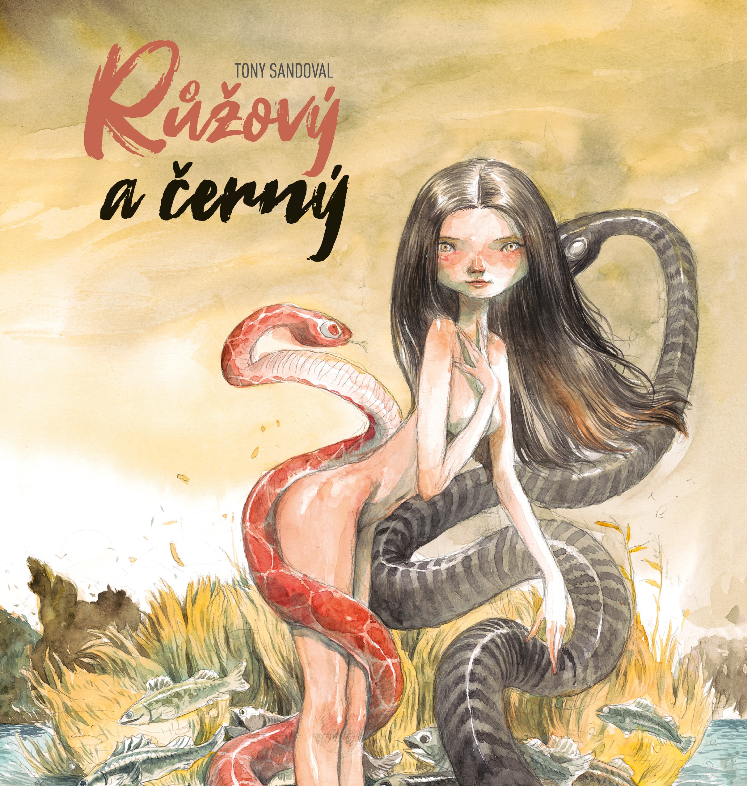 Růžový a černý – Recenzia (Komiks)